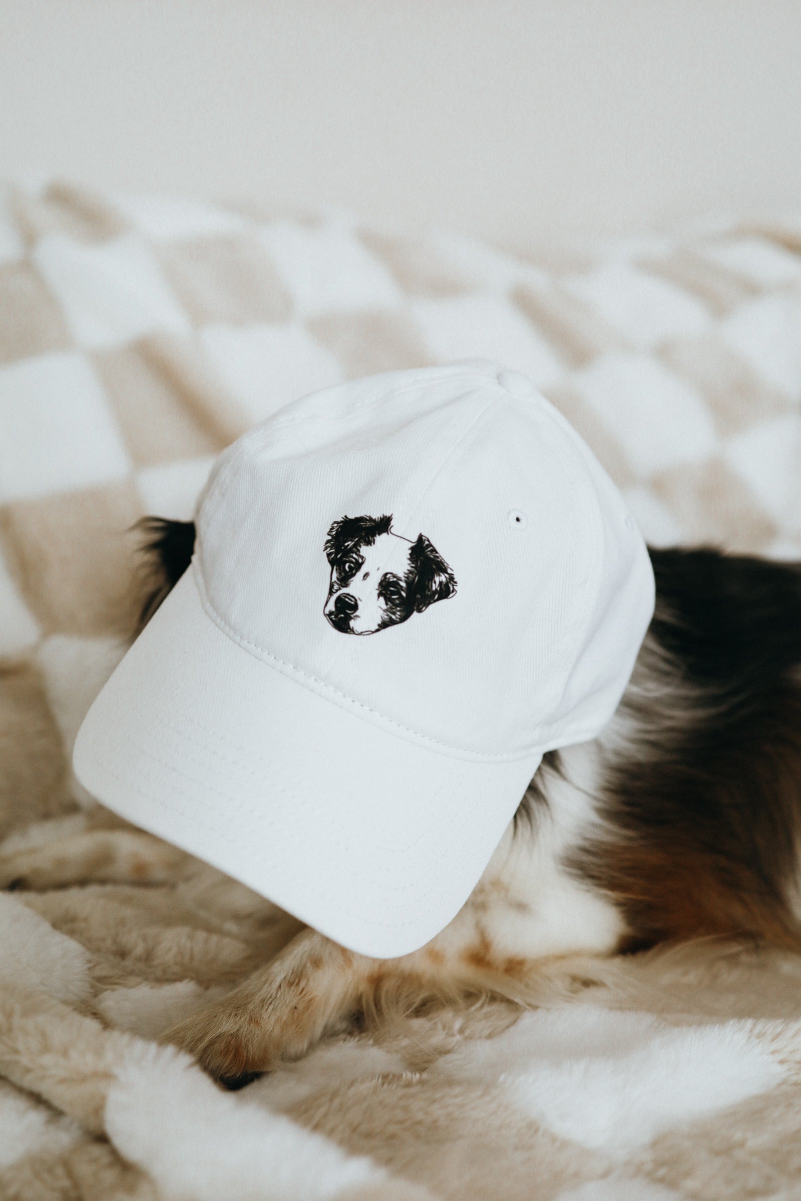 Custom Pet Hat