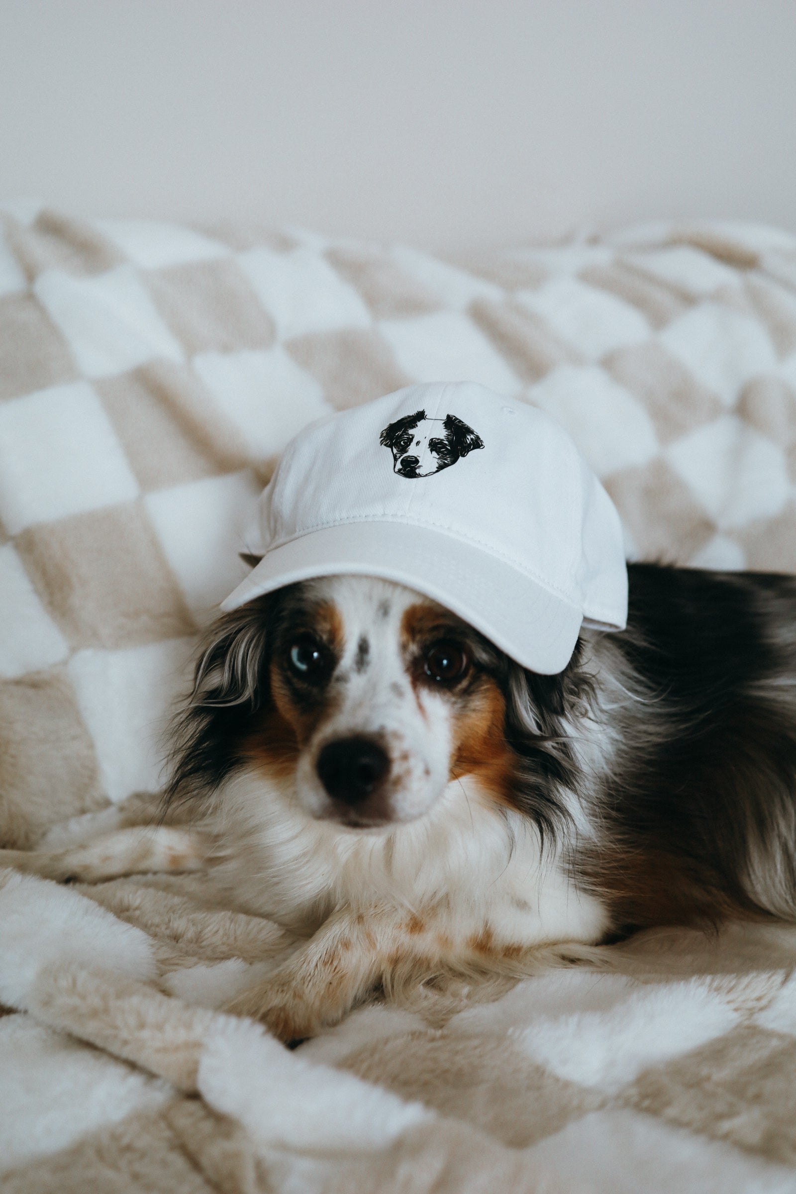 Custom Pet Hat