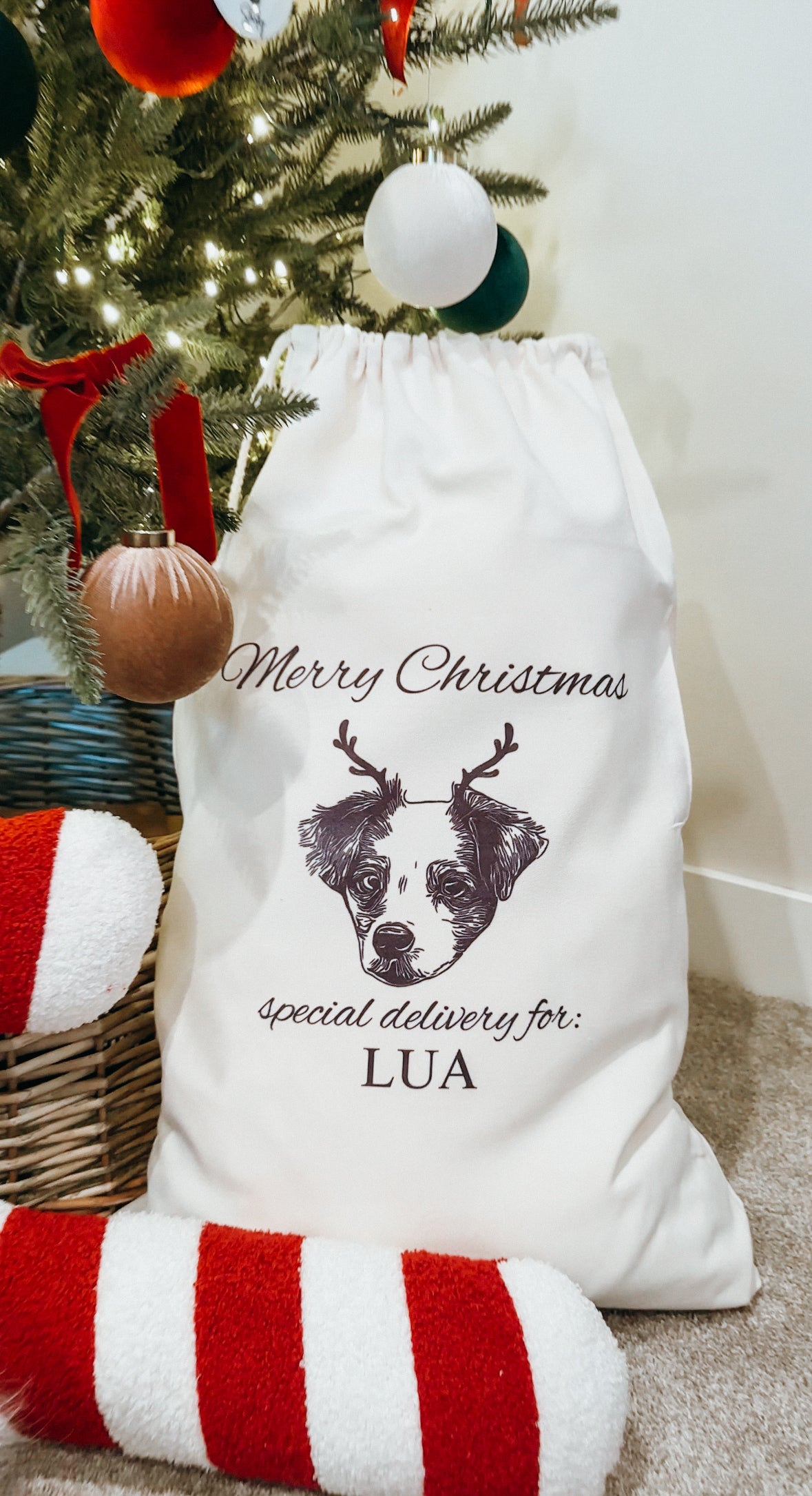 Santa Sack