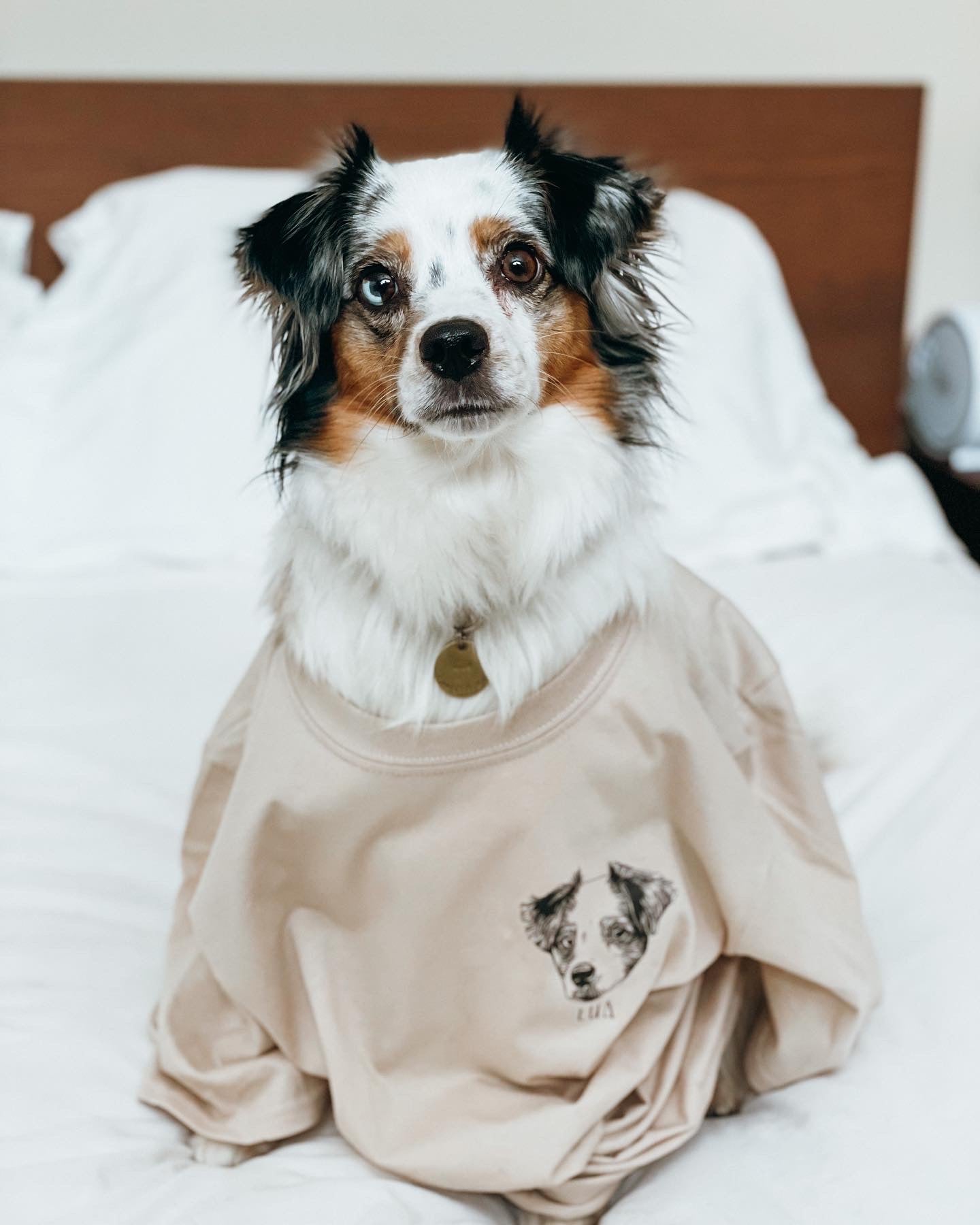 Custom Pet T-Shirt