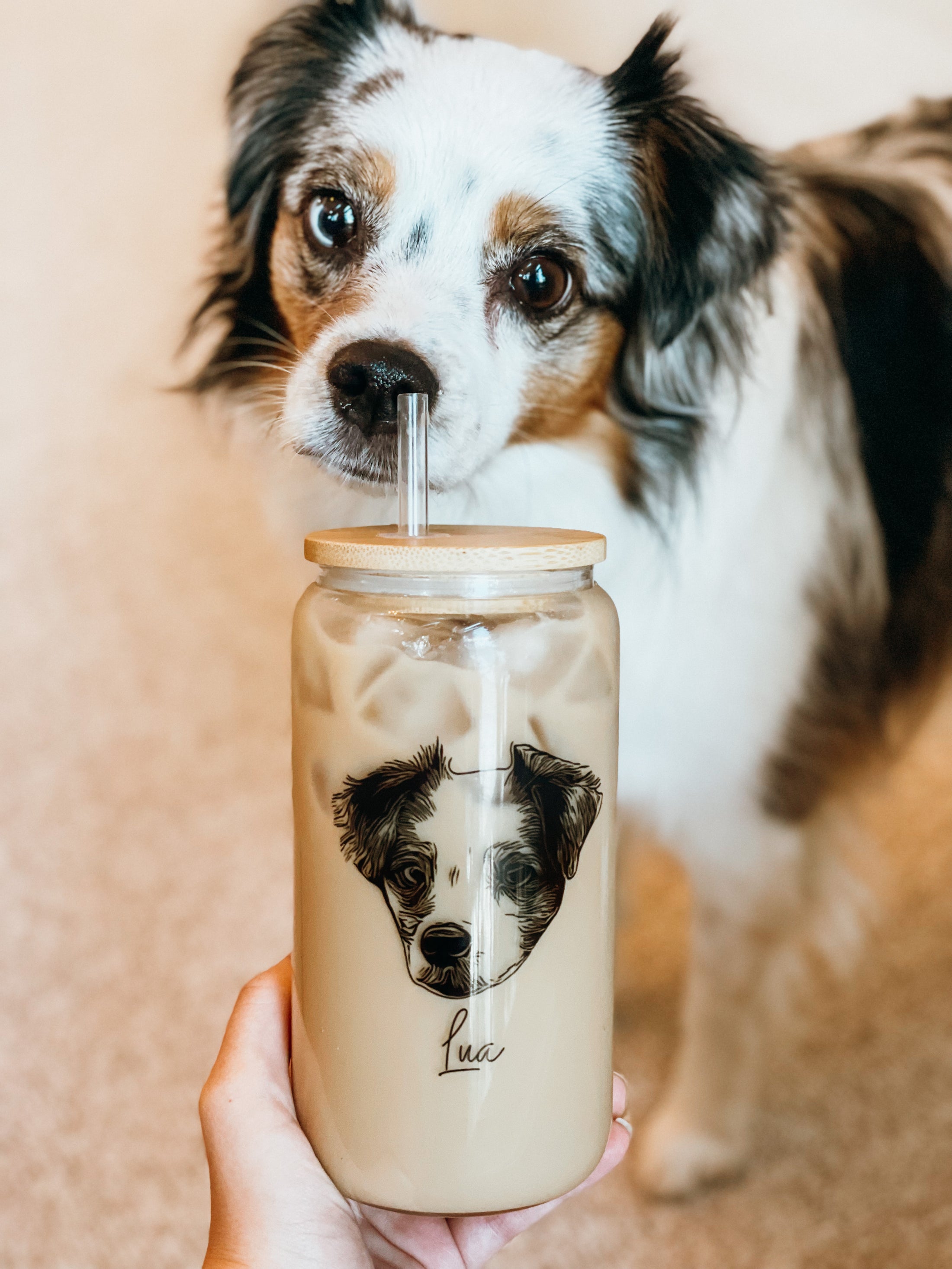 16oz Glass Can with Bamboo Lid & Straw