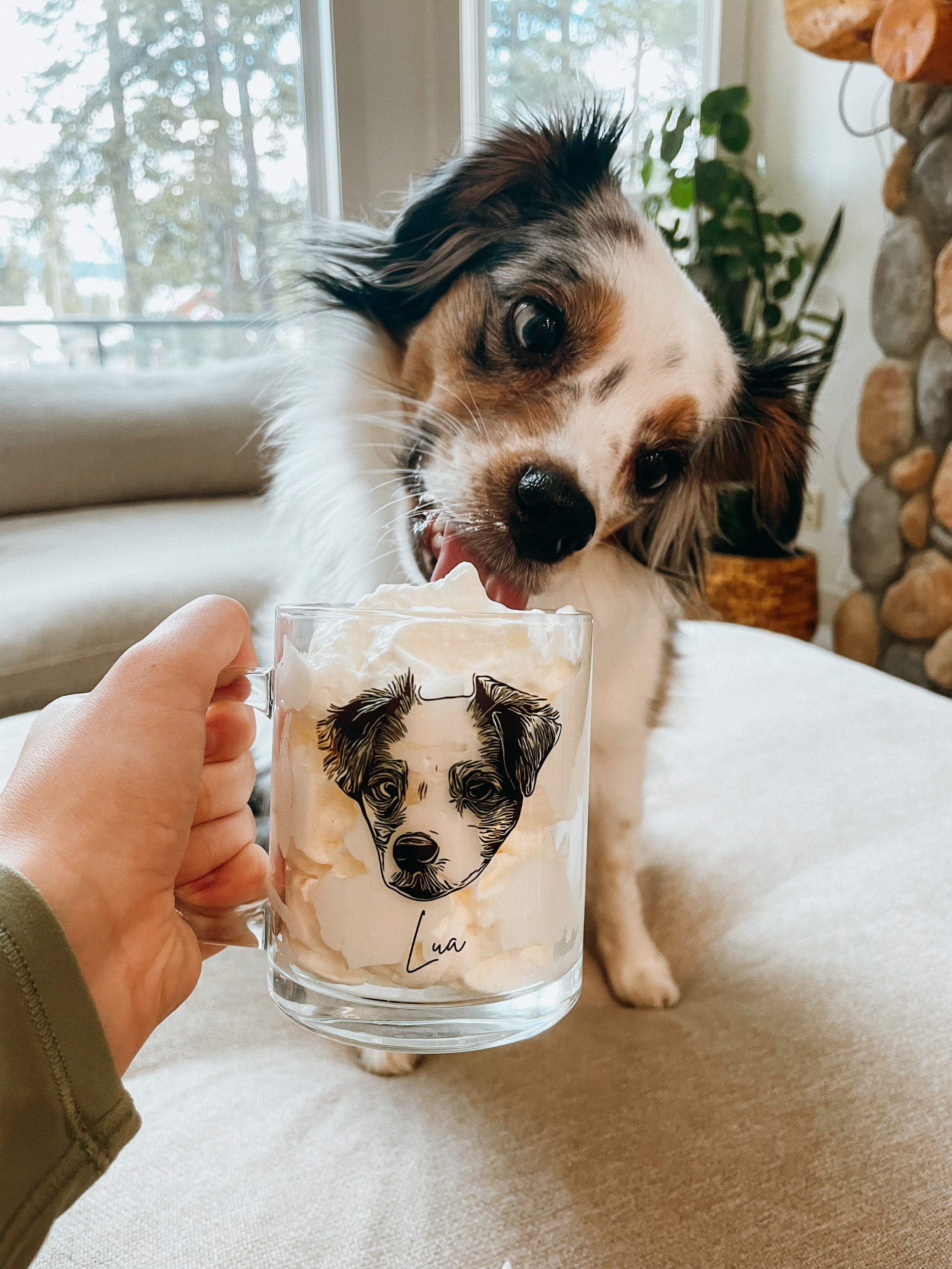 11oz Glass Custom Pet Mug